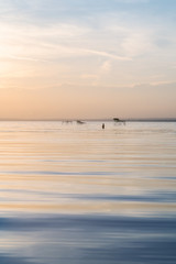 woman standing in the lake balaton at sunrise and enjoying the moment, relaxing evening light...