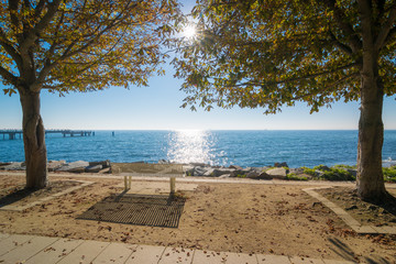 Bank am Meer unter Bäumen im Herbst - Sassnitz auf Insel Rügen