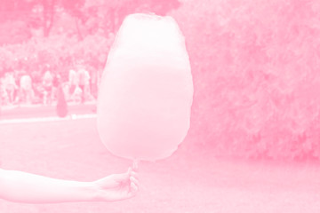 Sweet cotton wool of pink color on a stick in hand on a park background
