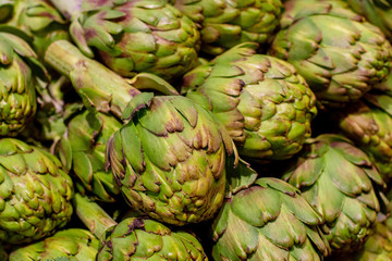 Fototapeta premium Fresh artichoke piled on the market. Food backgroumd. Harvest