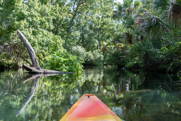 Kayaking on Juniper Springs Creek, Florida