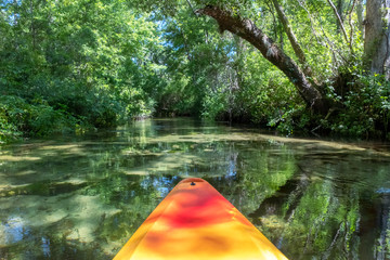 Kayaking on Juniper Springs Creek, Florida