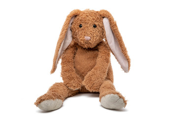 Teddy rabbit