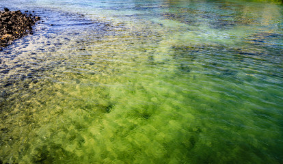 Jade green water fading to yellow sand and rough lava rocks in waialua Bay hawaii