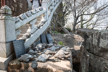 Naklejka premium stairs in the forest