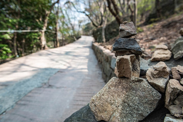 tracking place in forest