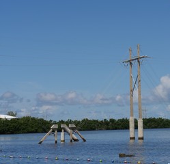 Power poles in the water near a dock