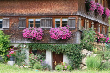 Fototapeta na wymiar Traditionelles Bauernhaus in den österreichischen Alpen, Haus und Garten im Sommer, Traditionelle Architektur in den europäische Alpen