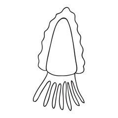 Black and white isolated squid icon on white backdrop