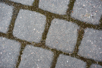 Pavement with moss