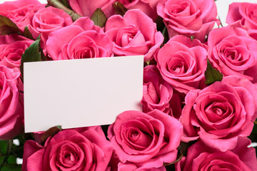 a beautiful large bouquet of pink roses with a curly crochet and a bridge for your text