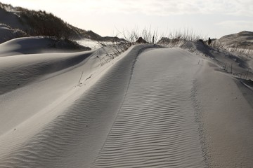 Beach and dunes landscape in Amrum, Germany