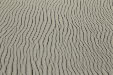 Ripples in sand at ocean