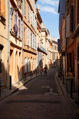Fototapeta na wymiar Toulouse et ses habitants
