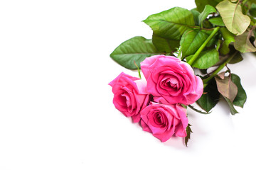 Beautiful rose flowers bunch isolated on white background