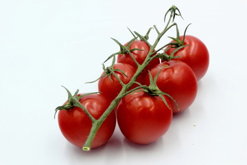 Vine Tomatoes