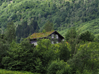 Fototapeta na wymiar House in the forest, in the mountains with plants on the roof. Traditional Norwegian wooden house in the forest