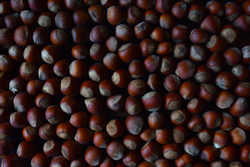 hazelnuts hazelnuts are a large number of