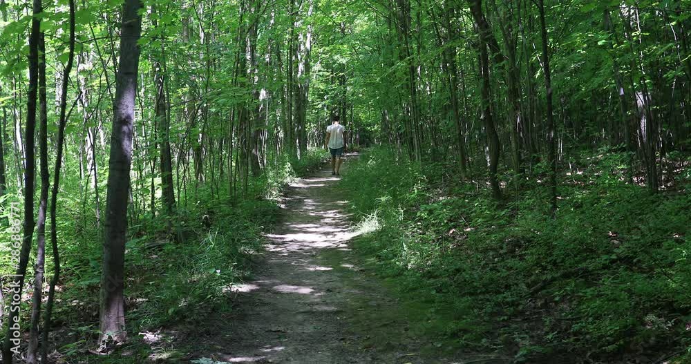 Canvas Prints Sacred Grove forest path woman walks LDS Church Palmyra New York. Forest Grove western New York near the home of Joseph Smith. Founder and Prophet of the Church of Jesus Christ of Latter-day Saints