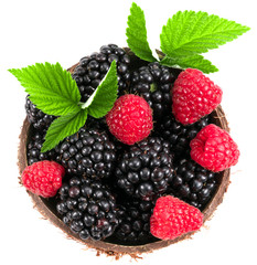 Blackberry and raspberry. On white background