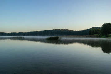 Summer morning on the edge of the lake.