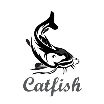 Elegant drawing art catfish logo design template inspiration