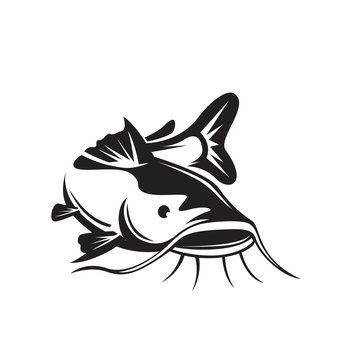 big head Catfish drawing art logo design inspiration