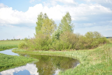 landscape with river and trees