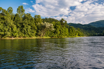 Mountain river edged with wild forest