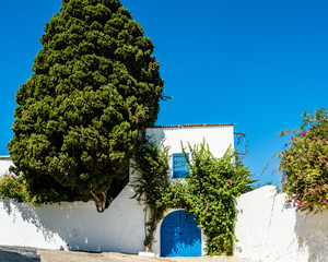 Scenes of Sidi Bou Said, Tunisia with flowers, blue sky, blue doors, blue sea