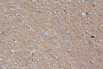 Natürliche Sand- Textur mit zerbrochenen Muscheln