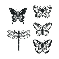 set of butterflies, dragonfly. eps10 vector illustration. hand drawing