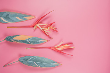 tropical flowers and summer concept from colorful flat lay and web banner design from heliconia with beauty leaf on pink vintage background