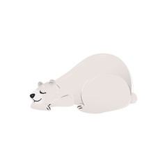 Polar white bear cute cartoon character flat vector illustration isolated on white.