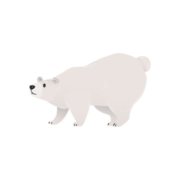 Arctic polar white bear the winter symbol cartoon vector illustration isolated.