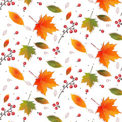 Fototapeta na wymiar Autumn pattern with leaves,Leaves maple, mountain ash, oak, birch.