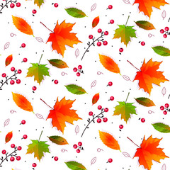 Autumn pattern with leaves,Leaves maple, mountain ash, oak, birch.