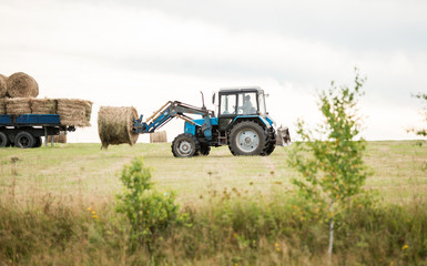Tractor loading of bales of hay on a cargo trailer. harvesting in autumn. feed for animals. truck.