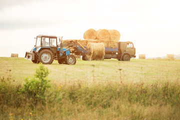 Tractor loading of bales of hay on a cargo trailer. making hay. harvesting in autumn. feed for animals. truck.