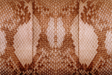 close-up of old real snake skin bag, nature texture pattern background