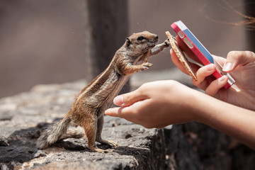 I need to make a call