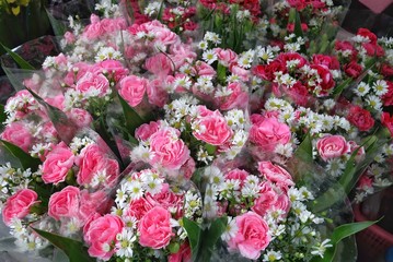 Close up a bouquet sweet pink carnation flower blossom in a plastic packaging and selling at the flora market