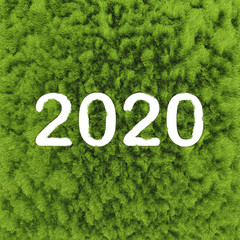 Happy new year 2020 with grass background