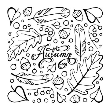 Autumn doodle hand-drawn page with outlines for adult coloring book, art therapy, isolated on white background.