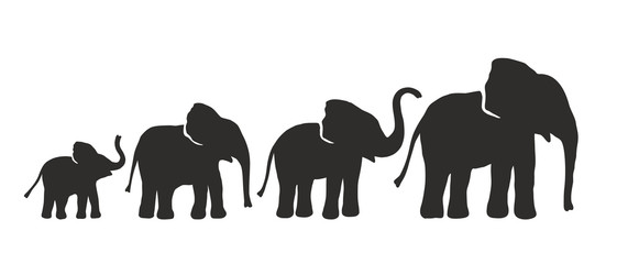 Set of Different Elephant Silhouettes. Vector