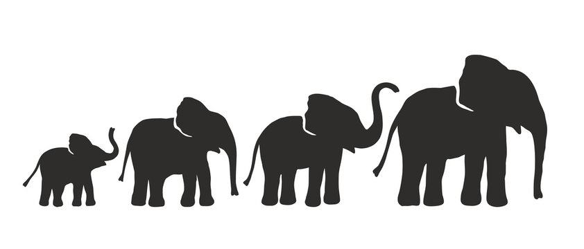 Free Elephant Family Svg Free 726 SVG PNG EPS DXF File