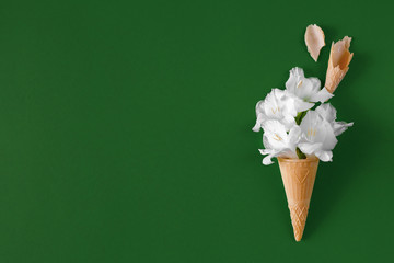 White gladiolus in a waffle cone seems like ice cream. Creative floral ice cream on a dark green background. Tasty floral card, botanical concept. Copy space, flat lay.