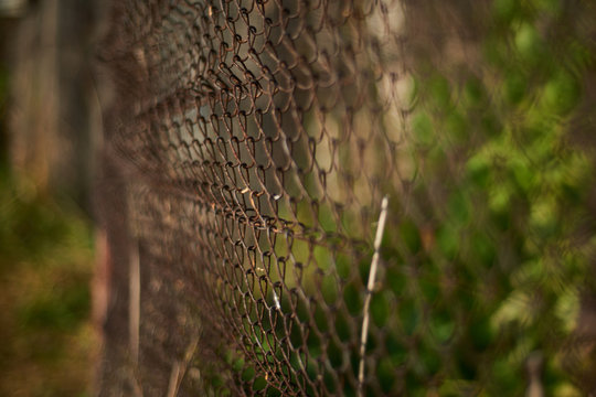 Nature, fence, hedge, chain-link fencing, rust, rusty chain-link fencing, greens, green grass, hedge grass, salts, sunset, bokeh, foreground, end of summer, Siberia, Khakassia, Abkakan.