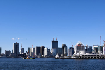 Fototapeta premium 晴海埠頭と東京タワー 