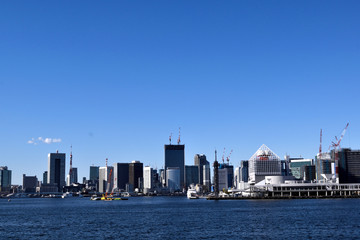 Fototapeta premium 晴海埠頭と東京タワー